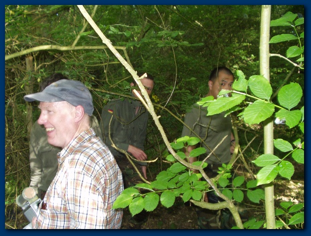 600x449 pixels (167K)